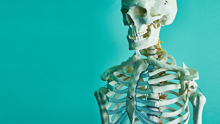 The Impact Bariatric Surgery Has on Bone Density