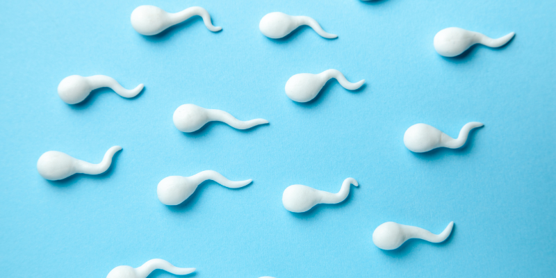 Obesity and Sperm Count